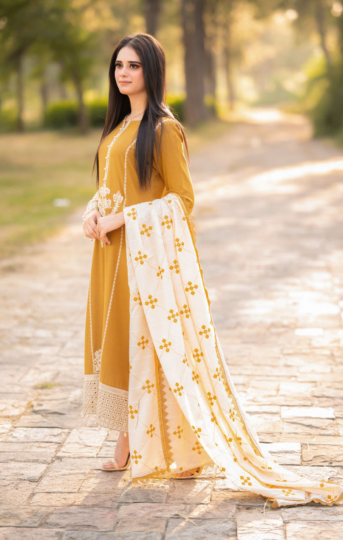 Dhanak-3PC Embroidered Shirt with Dhanak Embroidered Shawl