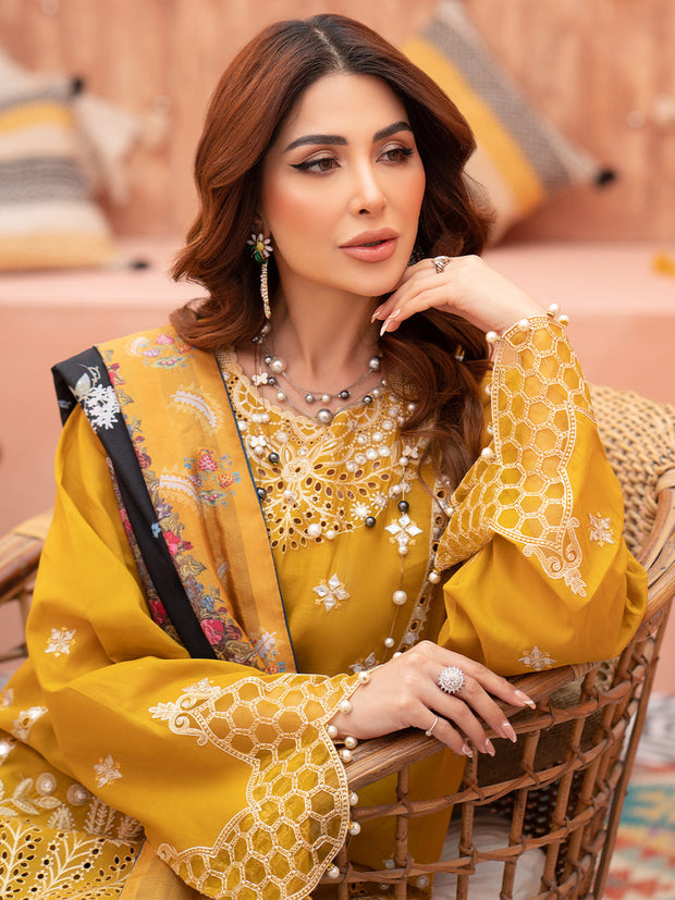 WINTER EID EDIT 24 | IR-D422