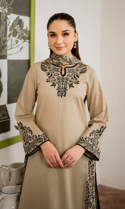 WINTER DHANAK 3PC`25 LF#DP-209 B